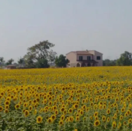 Agriturismo Bono - Golfo Di Follonica Piombino Exterior photo